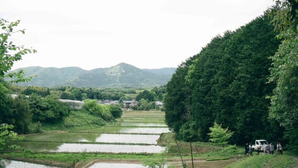 筑波山の麓に広がる“トトロの世界”を守る 日本の原風景、石岡市・八郷 サムネイル